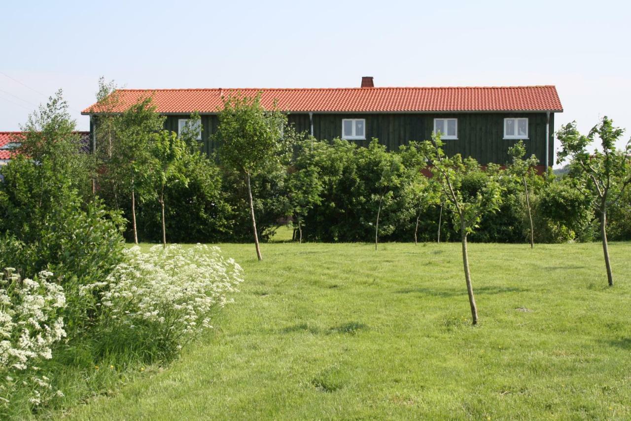 " Haus Zwischen Den Meeren " Strubbel Экстерьер фото